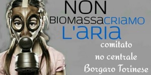 Biomasse