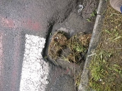 11165286_840800299324406_2026596702479577372_n