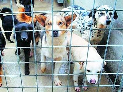 WCENTER 0FROAFBJHZ - FROSINONE 2 FOTO 1