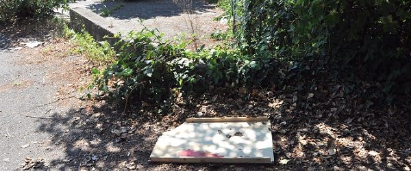 Carmelo Incannella, una persona normale e per questo importante