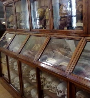 museo-di-antropologia-2