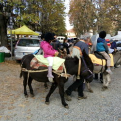 Ciriè: la Fiera di San Martino stupisce ancora