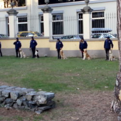 Ciriè: la Fiera di San Martino stupisce ancora
