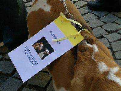 Caselle e l’area cani che (ancora) non c’è