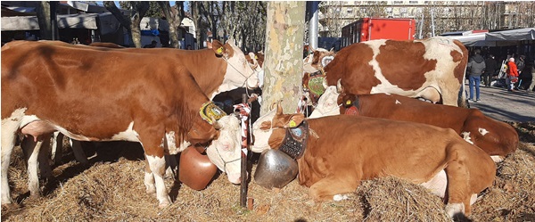Caselle: riuscita la Fiera di Sant’Andrea